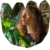 Foto del avatar